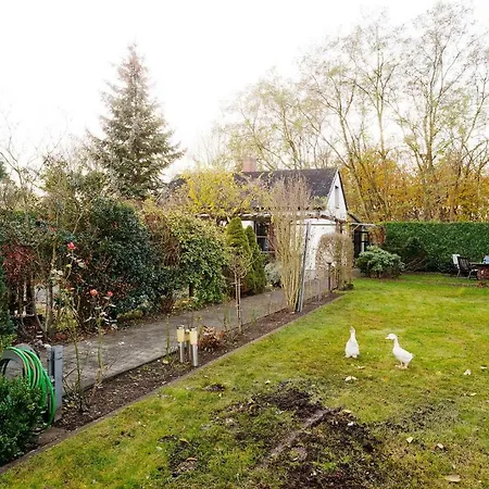 Ferienhaus Near Centrum, Paradise *